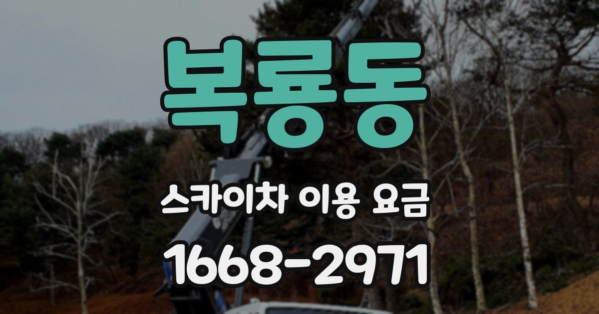 복룡동 스카이차 이용 요금