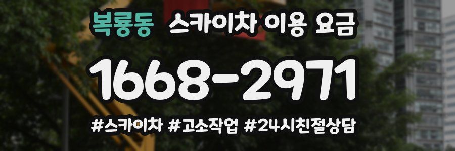 복룡동 스카이차 이용 요금