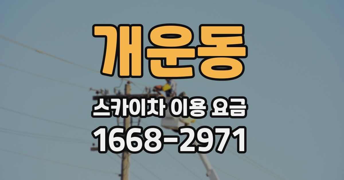 개운동 스카이차 이용 요금