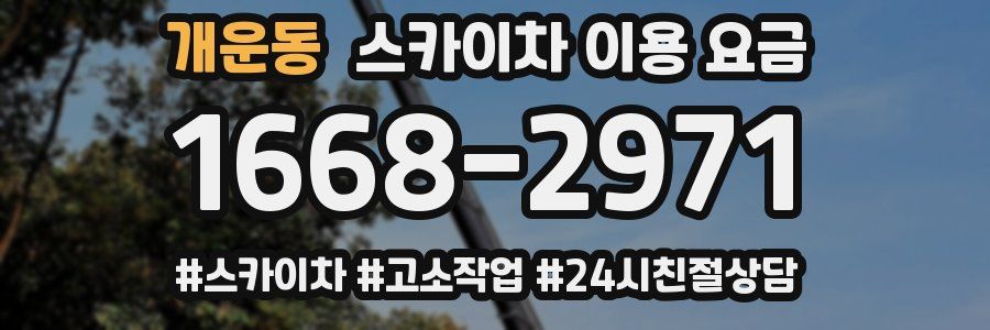 개운동 스카이차 이용 요금