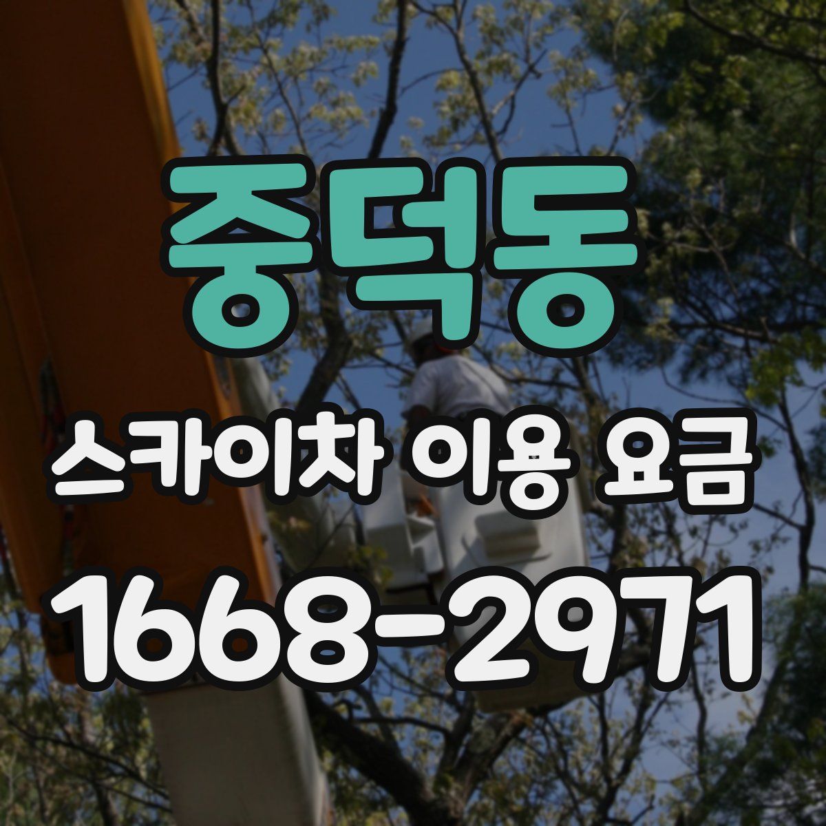 중덕동 스카이차 이용 요금