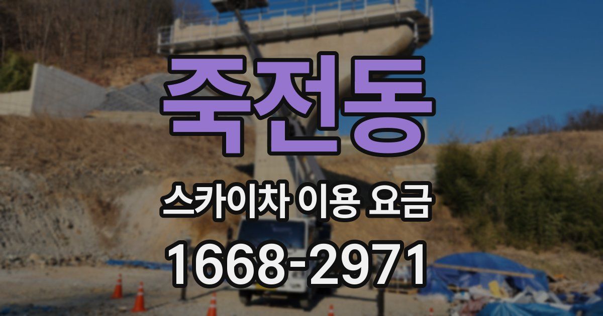 죽전동 스카이차 이용 요금