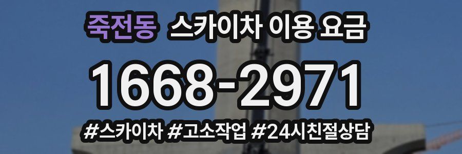 죽전동 스카이차 이용 요금