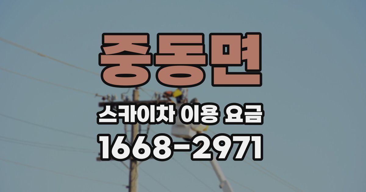 중동면 스카이차 이용 요금