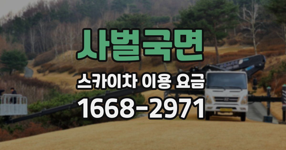 사벌국면 스카이차 이용 요금