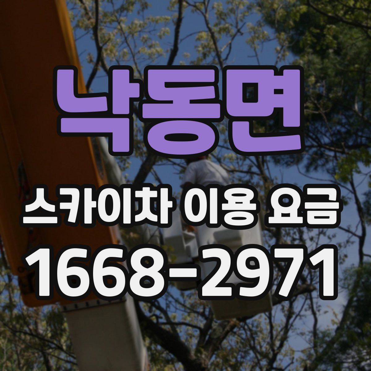 낙동면 스카이차 이용 요금