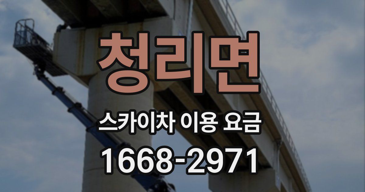 청리면 스카이차 이용 요금