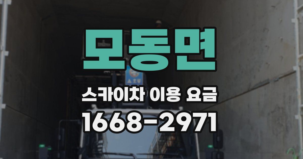 모동면 스카이차 이용 요금