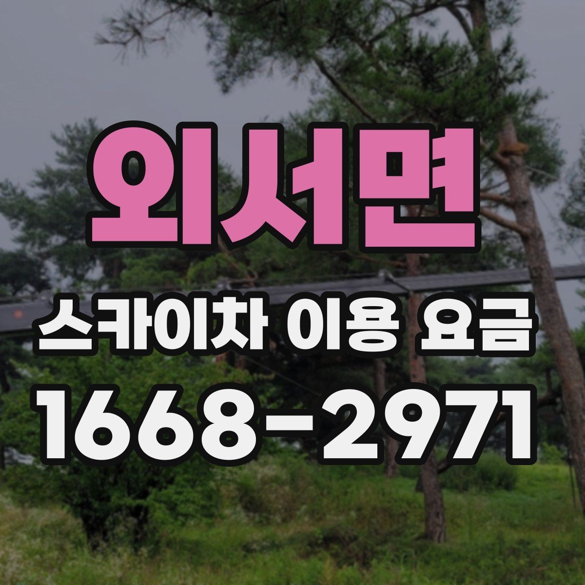 외서면 스카이차 이용 요금 확인 시 놓치지 말아야 할 내용