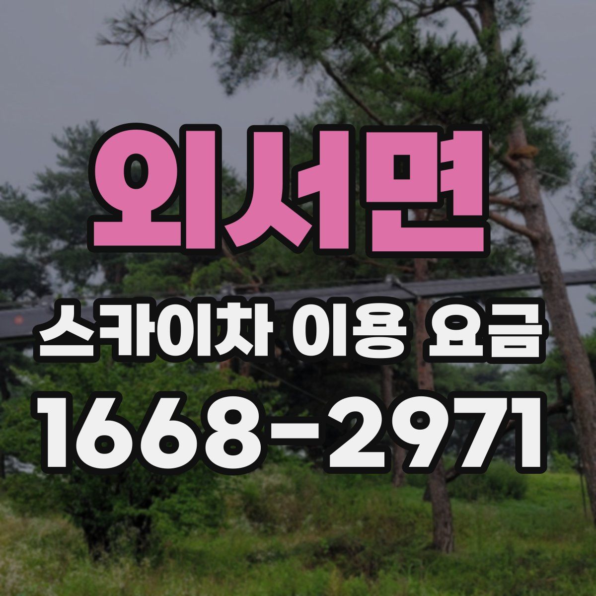 외서면 스카이차 이용 요금