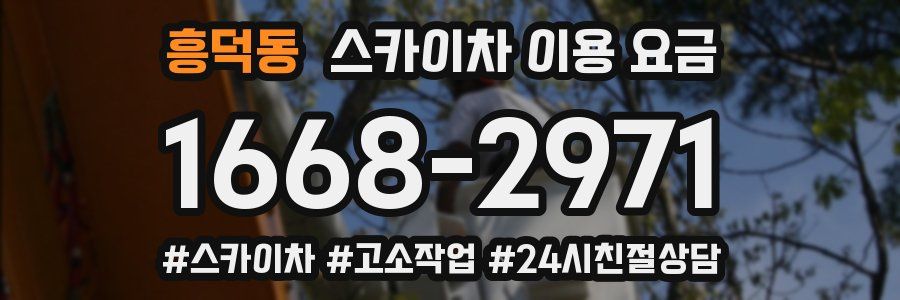흥덕동 스카이차 이용 요금