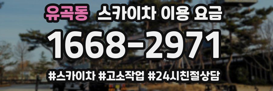 유곡동 스카이차 이용 요금