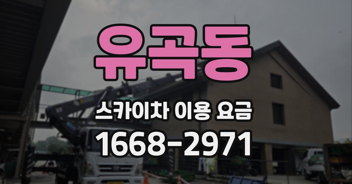유곡동 스카이차 이용 요금