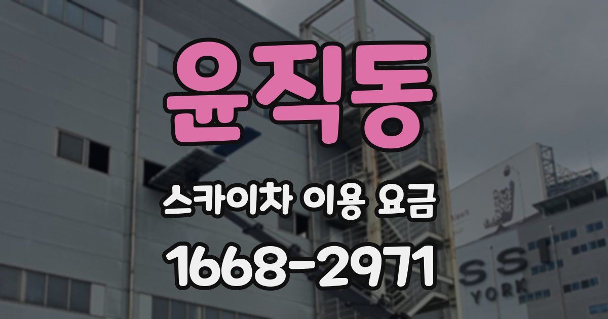 윤직동 스카이차 이용 요금