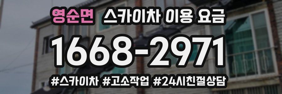 영순면 스카이차 이용 요금