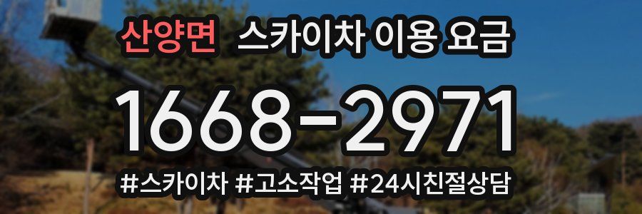 산양면 스카이차 이용 요금