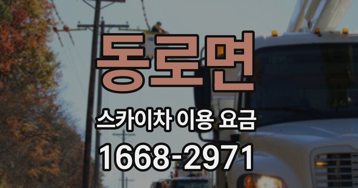 동로면 스카이차 이용 요금