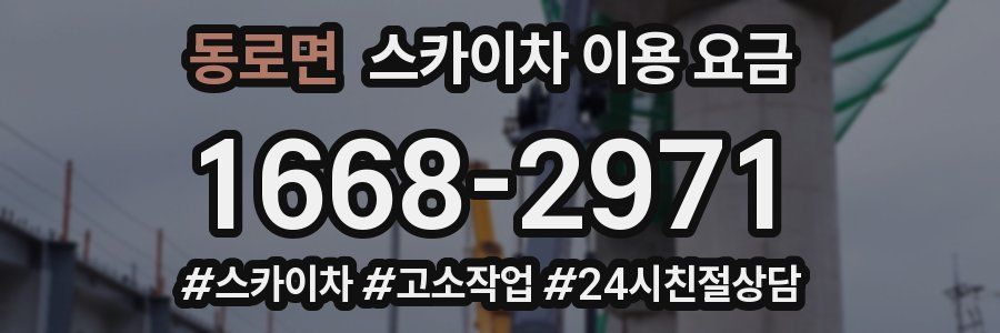 동로면 스카이차 이용 요금