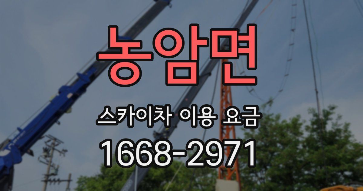 농암면 스카이차 이용 요금