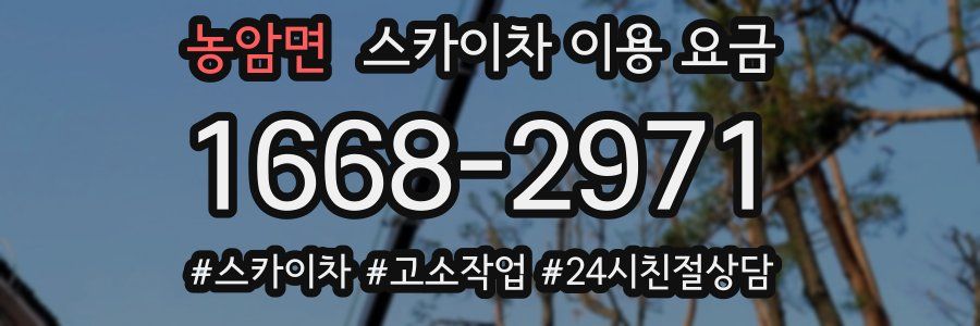 농암면 스카이차 이용 요금