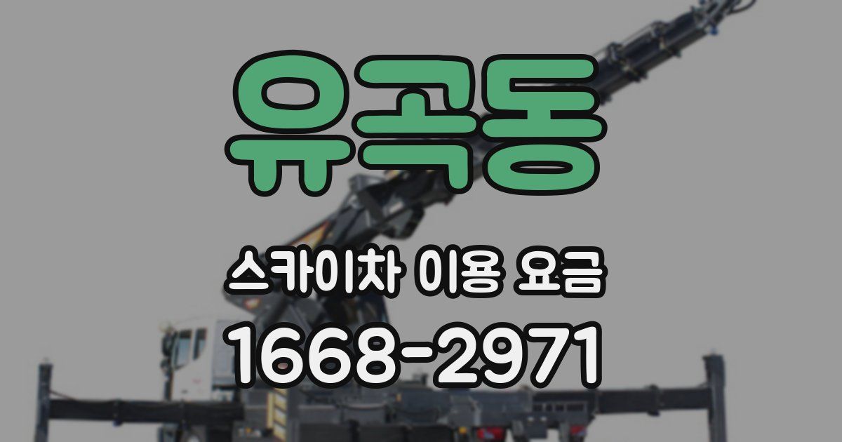 유곡동 스카이차 이용 요금