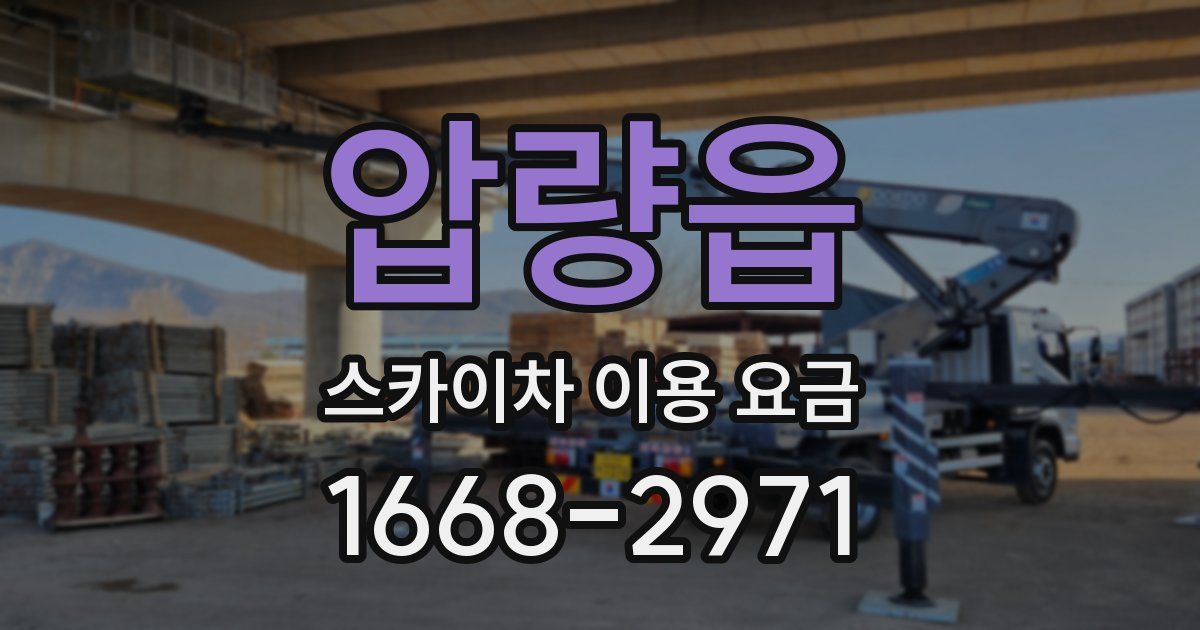 압량읍 스카이차 이용 요금