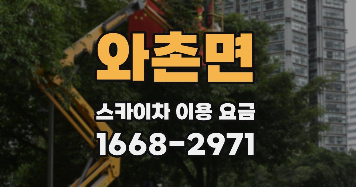 와촌면 스카이차 이용 요금