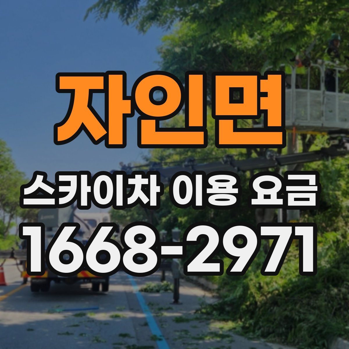 자인면 스카이차 이용 요금