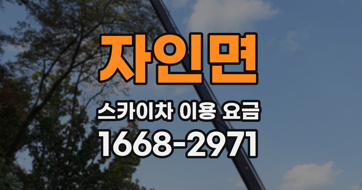 자인면 스카이차 이용 요금