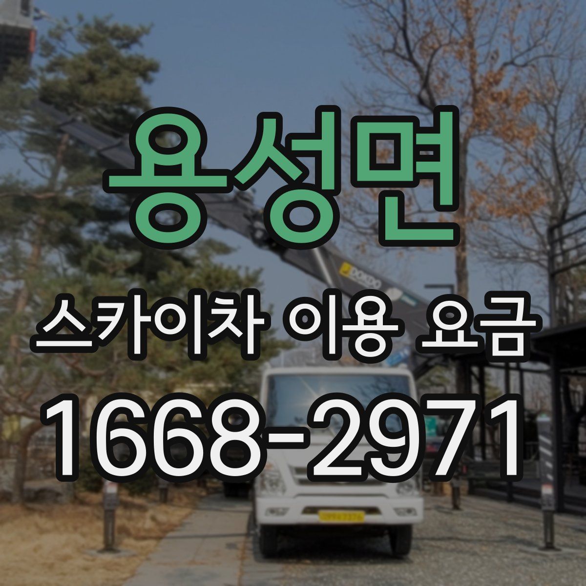 용성면 스카이차 이용 요금
