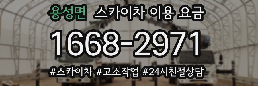 용성면 스카이차 이용 요금