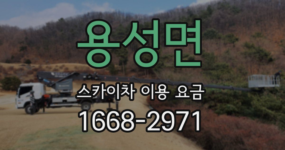 용성면 스카이차 이용 요금