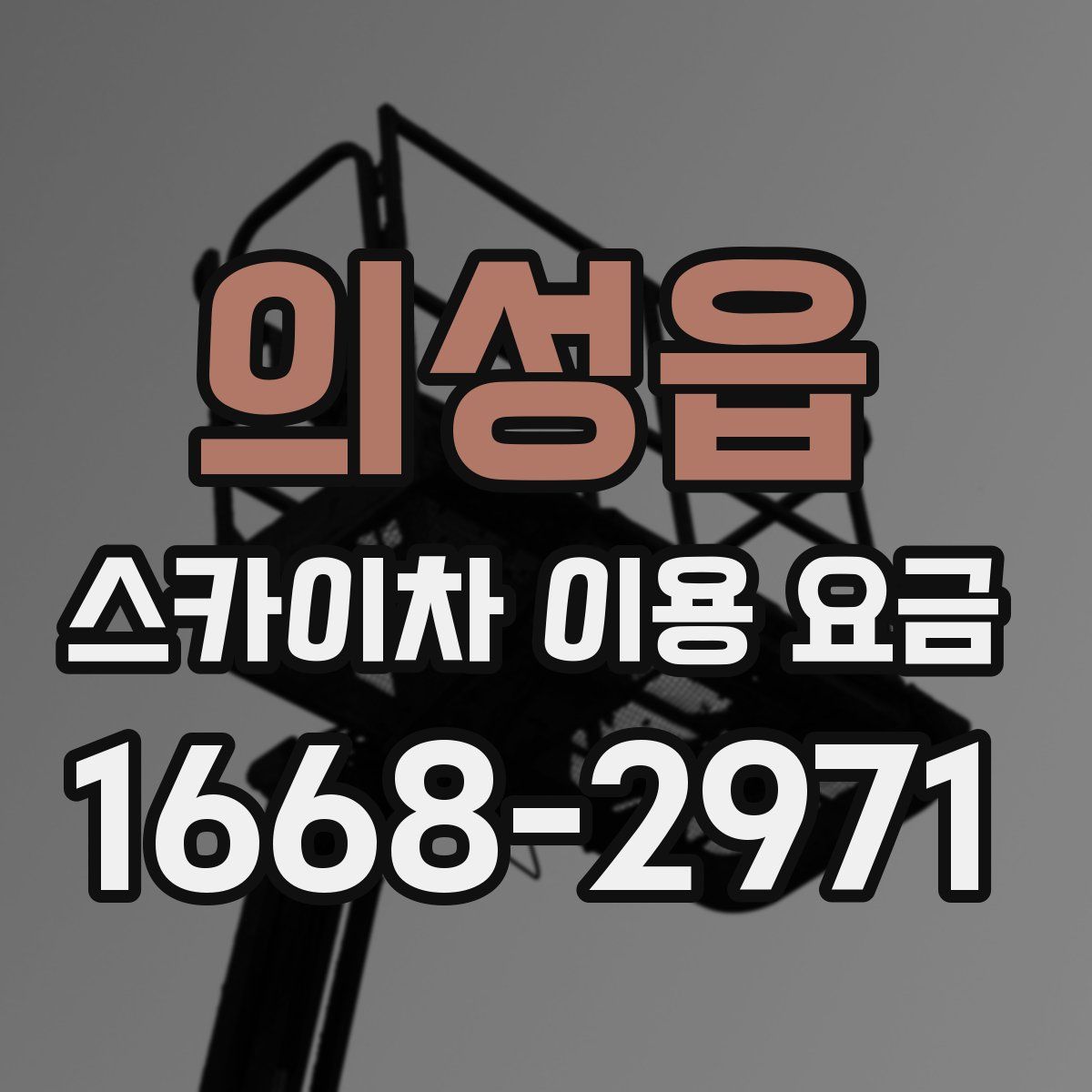 의성읍 스카이차 이용 요금