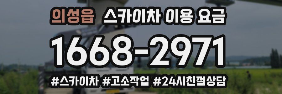 의성읍 스카이차 이용 요금