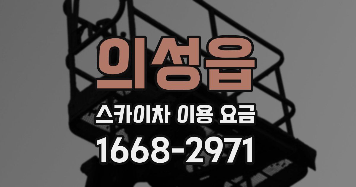 의성읍 스카이차 이용 요금
