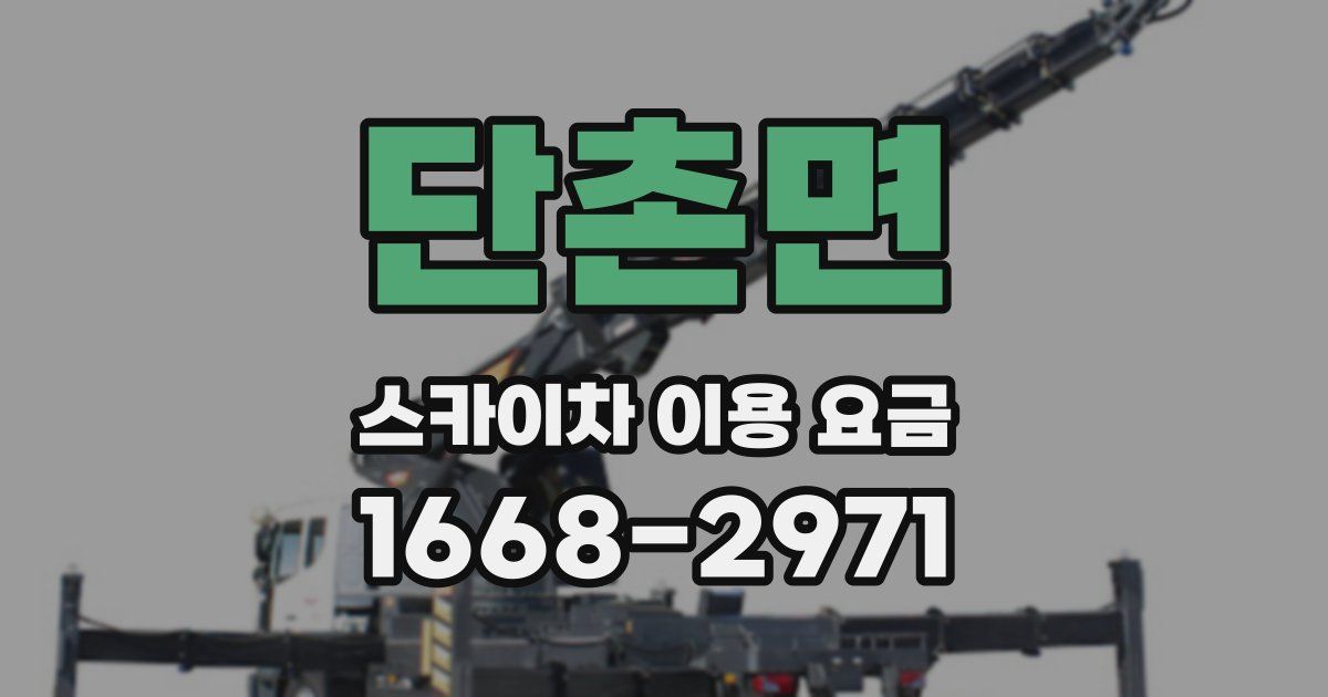 단촌면 스카이차 이용 요금