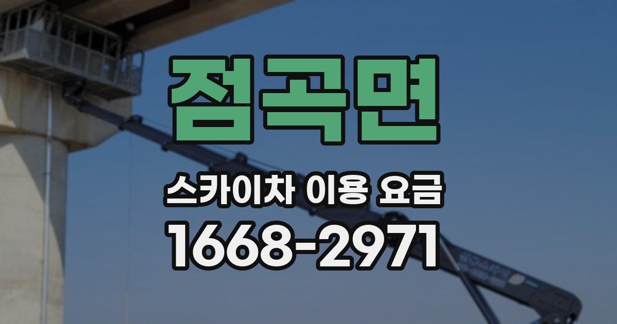 점곡면 스카이차 이용 요금