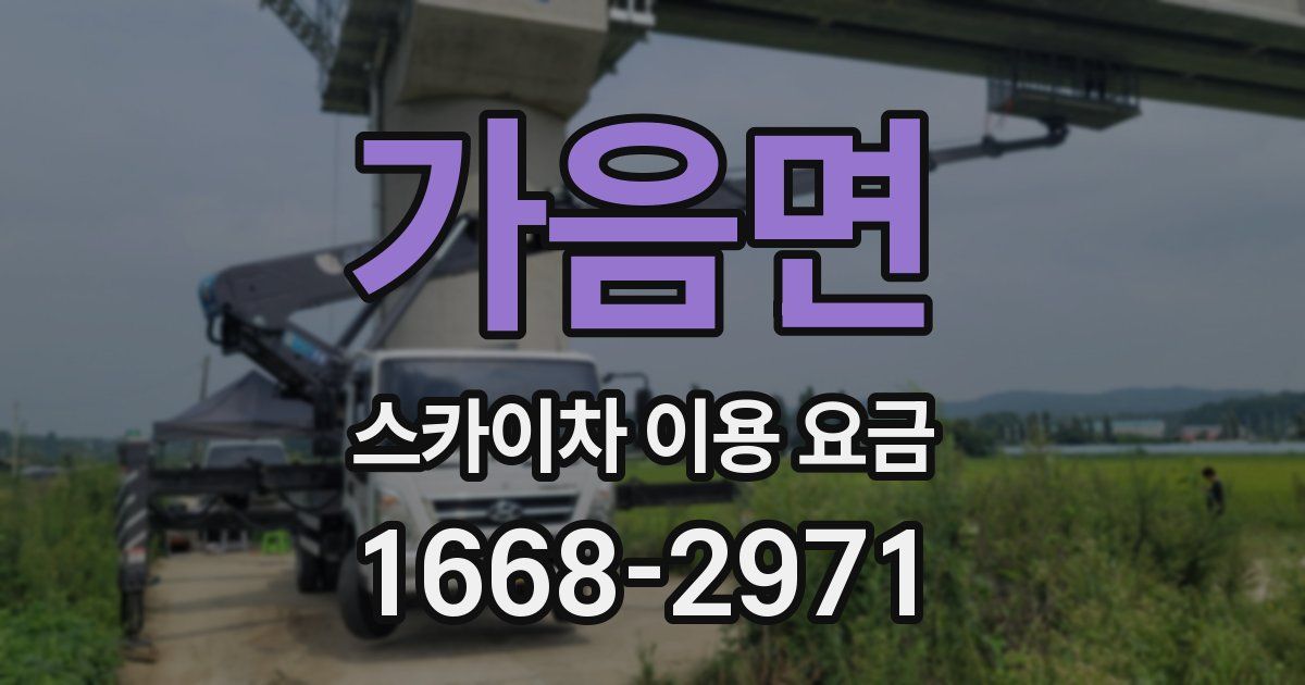 가음면 스카이차 이용 요금