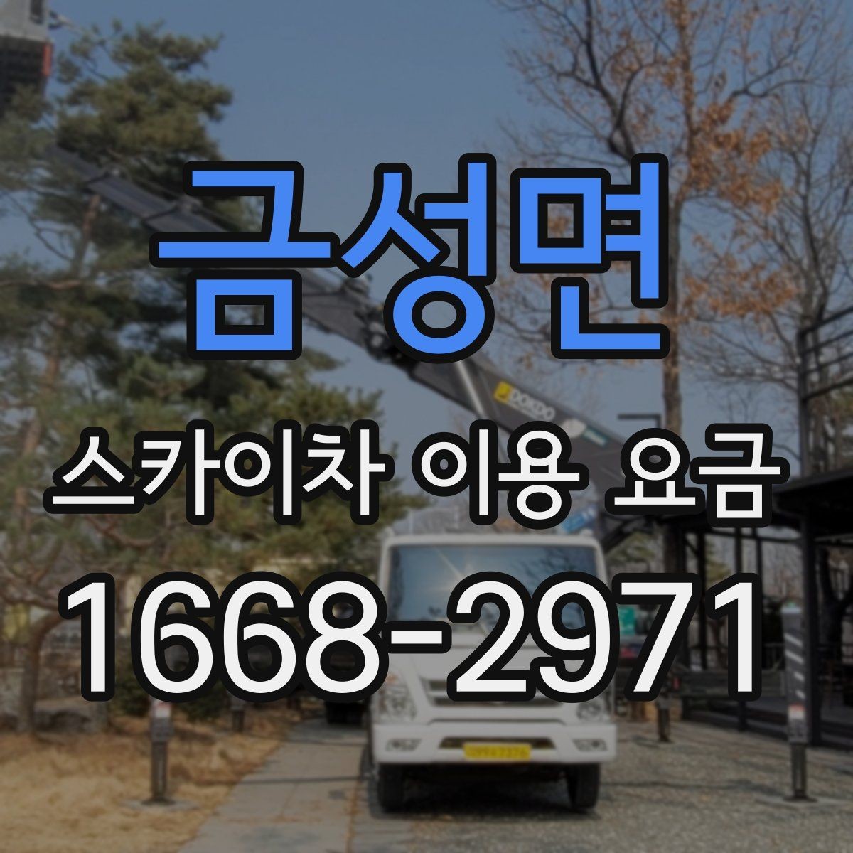 금성면 스카이차 이용 요금 책정에 영향을 주는 요소