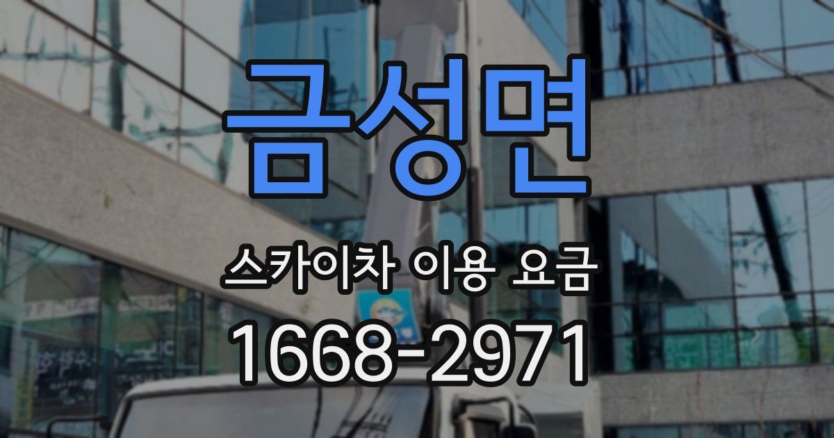 금성면 스카이차 이용 요금
