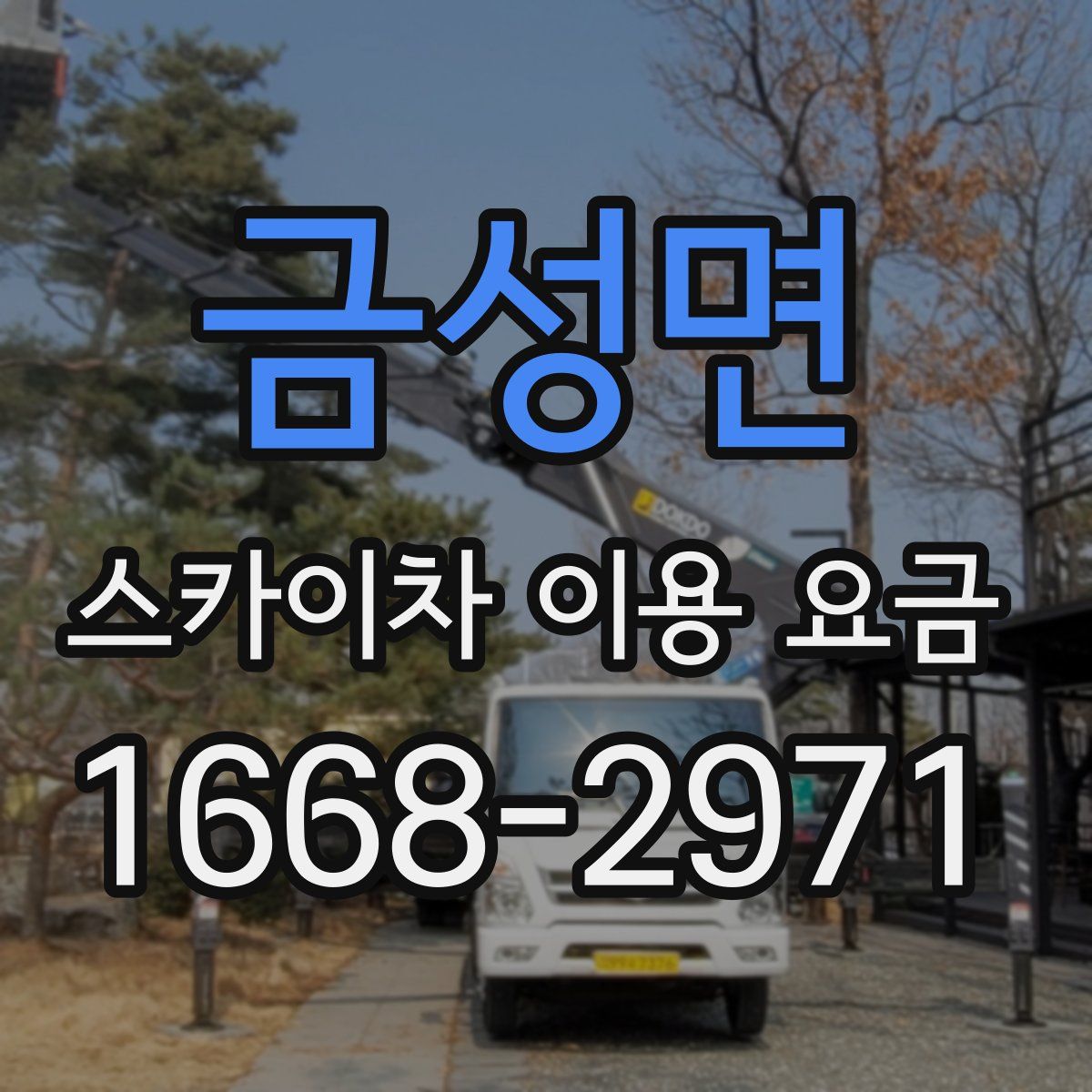 금성면 스카이차 이용 요금