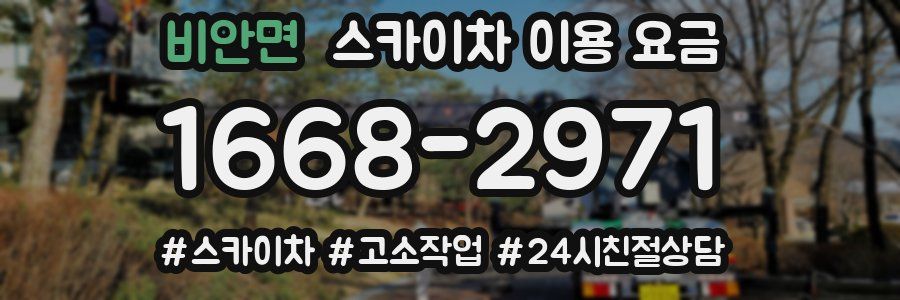비안면 스카이차 이용 요금