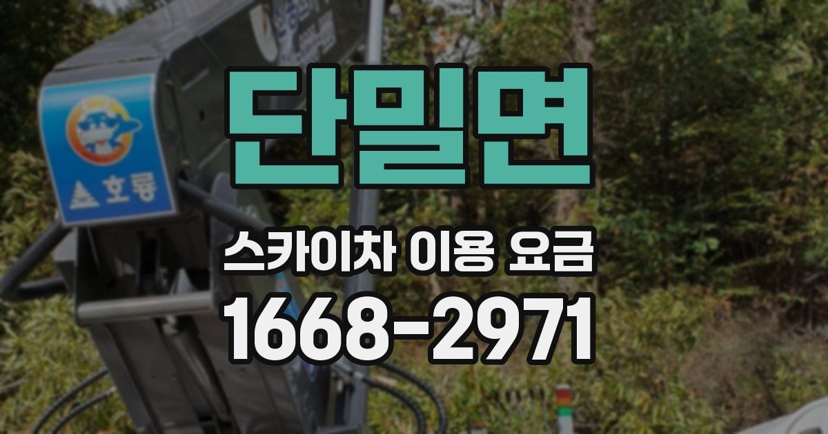 단밀면 스카이차 이용 요금
