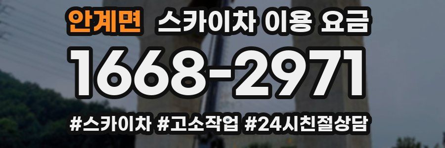 안계면 스카이차 이용 요금