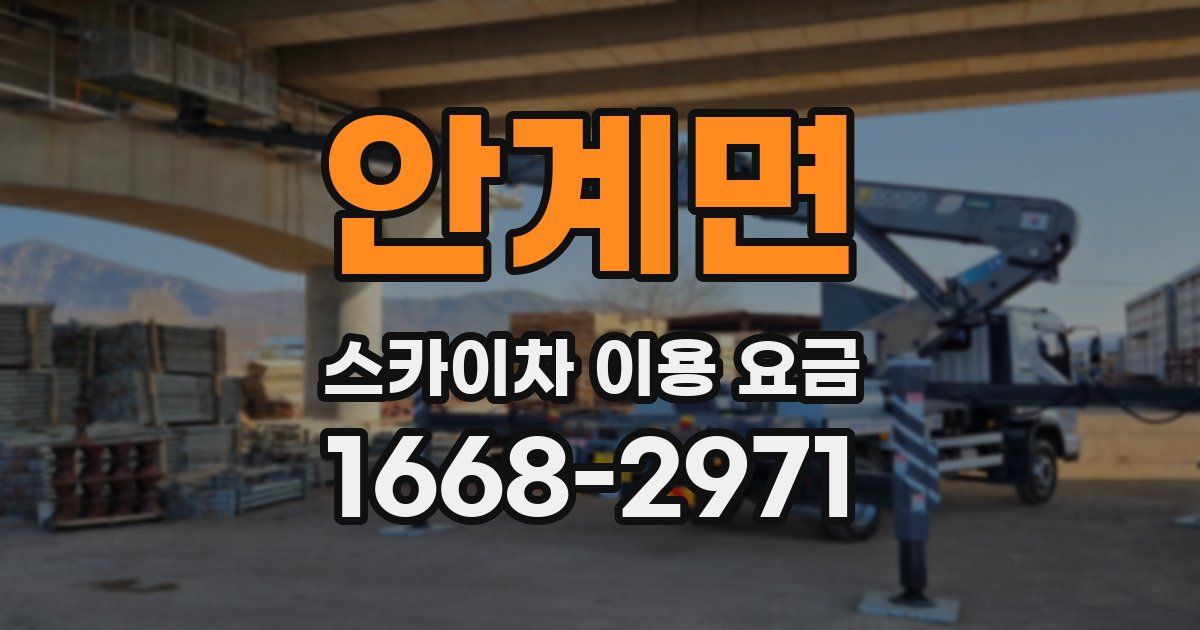 안계면 스카이차 이용 요금