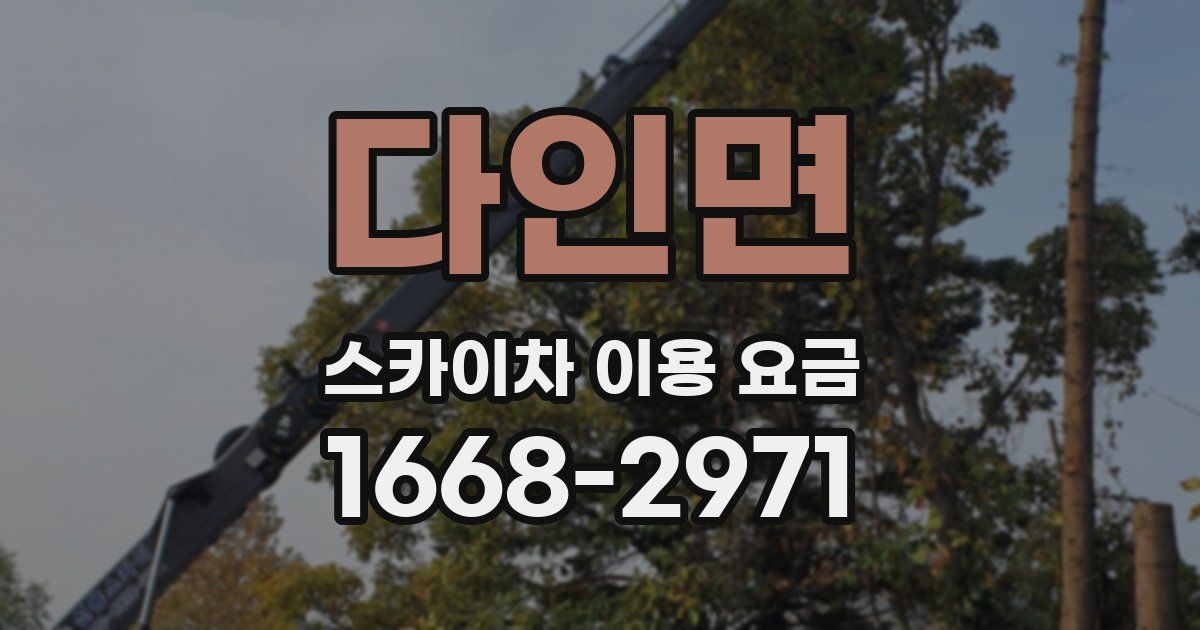 다인면 스카이차 이용 요금