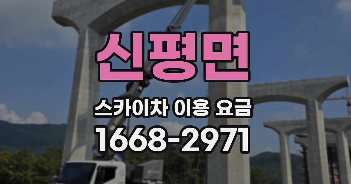 신평면 스카이차 이용 요금