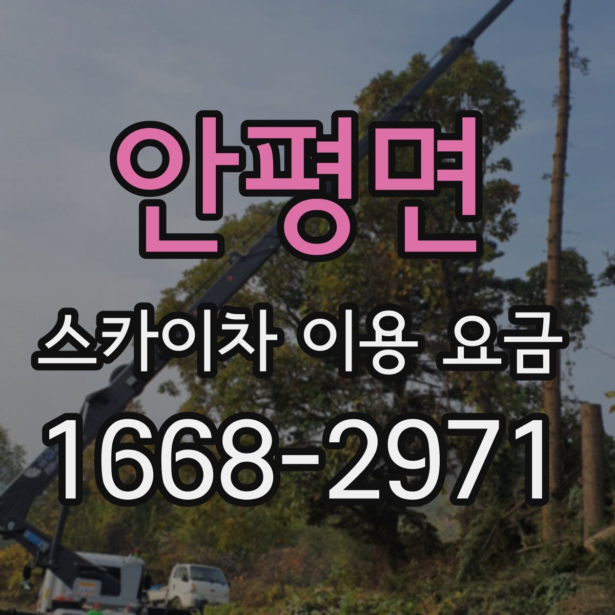 안평면 스카이차 이용 요금