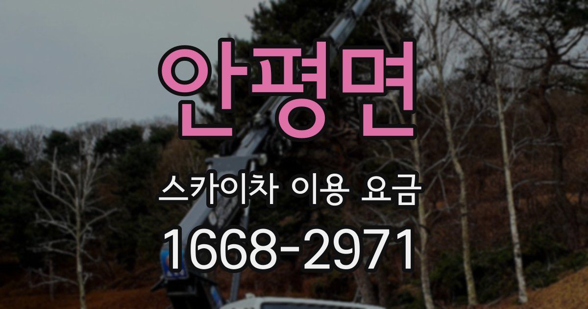 안평면 스카이차 이용 요금