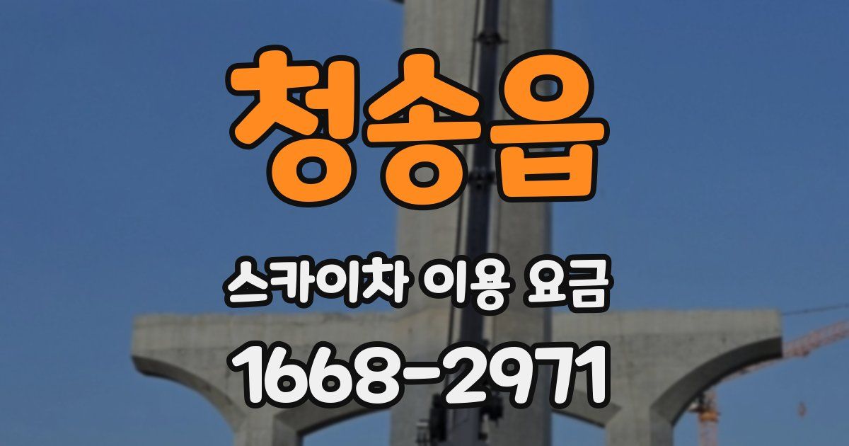 청송읍 스카이차 이용 요금